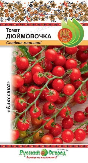 rosii cherry (Fotografie de Varvara Plyushkina) rosii cherry