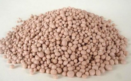 diammophoska tuc - introducere, caracteristicile, compoziția, prețul (îngrășăminte) Fertilizare diammophoska - introducere, caracteristici, compoziție, preț