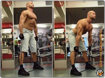Exerciții cu extensoare pentru toate grupele musculare (exercițiu) Exerciții cu extensoare pentru toate grupele musculare