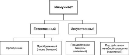 Tipuri de imunitate și principalele diferențele lor (diferențe) Tipuri de imunitate și principalele diferențe acestora