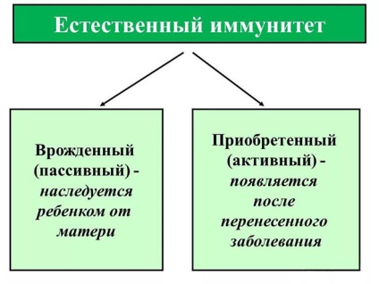 Tipuri de imunitate și principalele diferențele lor (de bază) Tipuri de imunitate și principalele diferențe acestora