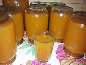 Tipuri de suc pentru iarna preparate în conformitate cu rețetele de acasă (suc de conserve de iarnă acasă pentru a pregăti mere) Tipuri de suc pentru iarnă preparate în conformitate cu rețete la domiciliu