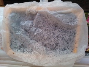 Cultivăm răsaduri de flori anuale pentru (atunci când să planteze răsaduri pe flori anuale) Cultivăm răsaduri de flori anuale pentru