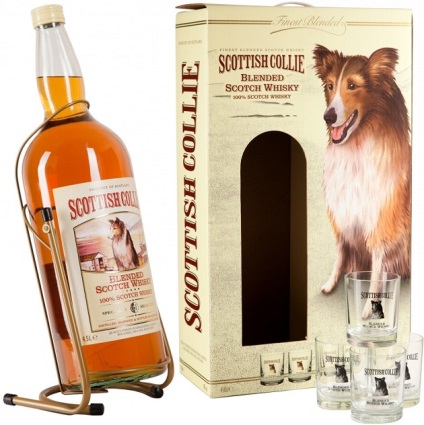 Whiskey Collie Scoțian (Scottish Collie) descrierea brand și tipuri (scoțian) Whiskey Collie Scoțian (Scottish Collie) mărci și tipuri de descriere