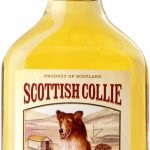 Whiskey Collie Scoțian (Scottish Collie) descrierea brand și tipuri (scoțian) Whiskey Collie Scoțian (Scottish Collie) mărci și tipuri de descriere