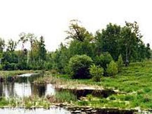 Imi place apa (Svetlana Sukharev) (apă) Imi place apa (Svetlana Sukharev)