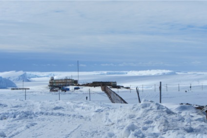 De ce antarctica (într-o reducere reală a bugetului) De ce antarctica