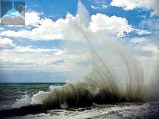 Fie că trăiesc în rechinii din Marea Azov care animalele marine să fie temut în apele sale (Marea Azov) Fie că trăiesc în rechinii din Marea Azov care animalele marine care urmează să fie temut în apele sale