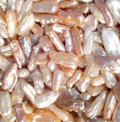 perle baroce (baroc) perle baroc