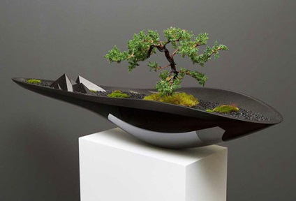 Arta de creștere bonsai la domiciliu