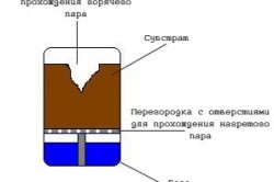 Cum de a dezinfecta solul în dreapta cu efect de seră