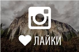 Cum pentru a vedea Huskies în instagrame prin intermediul calculatorului