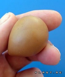 Cum de a sculpta craniul din plastilină (răspunsuri) Cum de a sculpta craniul din plastilină