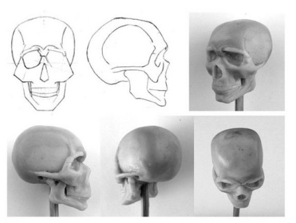 craniu orb de argilă (ca) Cum de a sculpta craniul din plastilină