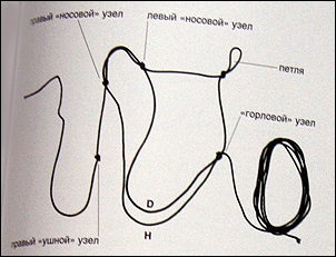 Will - cal de echitatie clubul de tehnici moi - Articolul pletom - naturale - ștreangul