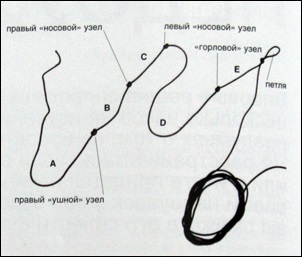 Will - cal de echitatie clubul de tehnici moi - Articolul pletom - naturale - ștreangul