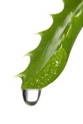 14 mijloace naturale pentru curățare (orris frezate) 14 remedii naturale pentru curățarea pielii