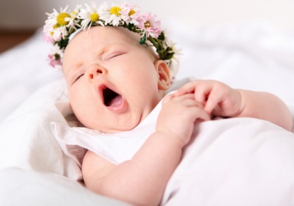 15 Nu se poate fapte despre copii mici (distractiv pentru copii) 15 nu poate fapte despre copii mici