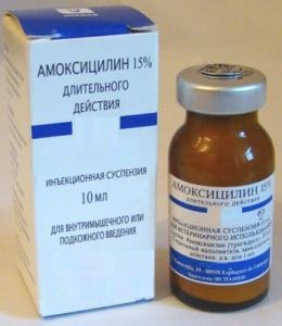 injecții Amoxicilină - instrucțiuni de utilizare (preparate injectabile) preparate injectabile Amoxicilină - instrucțiuni de utilizare