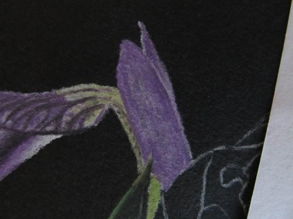 Anemone și iris (cealaltă parte a foii) Anemone și iris