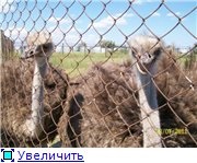 Arabat Spit (Nunta Forum) Arabat Spit