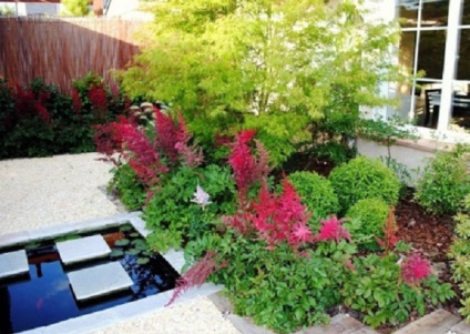 Astilbe în fotografii de design peisaj (fotografii) Astilbe în peisaj de design fotografie