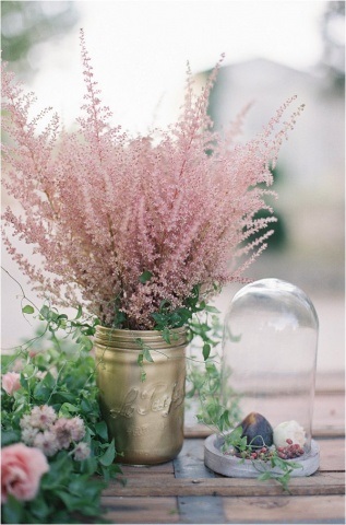 Astilbe în grădina peisaj de design fotografie (peisaj) Astilbe în peisaj fotografii grădină design