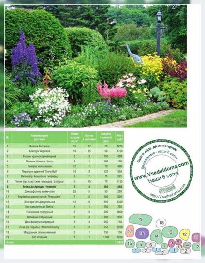 gradina Astilbe de flori (foto) - soiuri, plantare și compatibilitatea cu alte culori, site-ul de grădină, cabana și (creștere) gradina Astilbe de flori (foto) - soiuri, plantare și compatibilitatea cu alte culori, site-ul de grădină, și cabana
