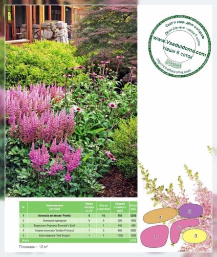 gradina Astilbe de flori (foto) - soiuri, plantare și compatibilitatea cu alte culori, site-ul de grădină, cabana și (soi) gradina Astilbe de flori (foto) - soiuri, plantare și compatibilitatea cu alte culori, site-ul de grădină, și cabana