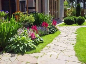 Astilbe în fotografii de proiectare de grădină și caracteristicile de formare de paturi de flori (foto) Astilbe în fotografii de proiectare grădină și caracteristicile de formare de paturi de flori