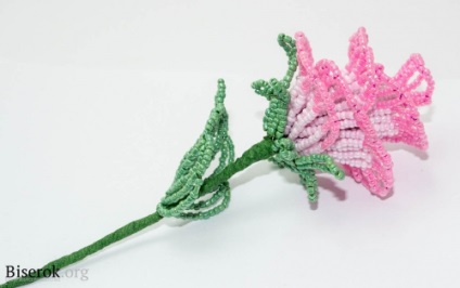 Delicate a crescut la 8 martie! (Lumina de culoare roz deschis) Delicate a crescut la 8 martie!