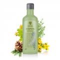 Balsamul rădăcină de sănătate Siberian, medicină, reale (balsamic) Balsamul rădăcină Siberian de sănătate, medicină, comentarii