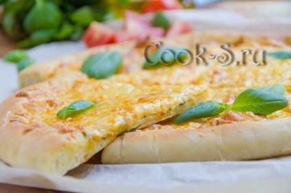 Alb pizza brânză - un pas cu pas reteta cu fotografii, diverse (brânză pizza reteta) pizza brânză albă - un pas cu pas reteta cu fotografii, diferite