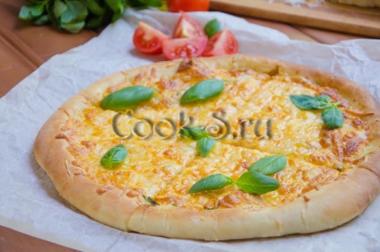 Alb pizza brânză - un pas cu pas reteta cu fotografii, diverse (brânză pizza reteta pas cu pas) pizza brânză albă - un pas cu pas reteta cu fotografii, diferite