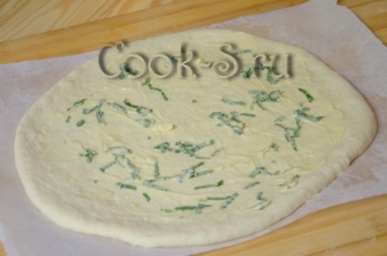 Alb pizza brânză - un pas cu pas reteta cu fotografii, diverse (brânză pizza reteta pas cu pas) pizza brânză albă - un pas cu pas reteta cu fotografii, diferite