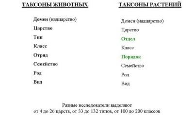 Taxonomia biologică (titlul subfamilia format) sistematicii biologice