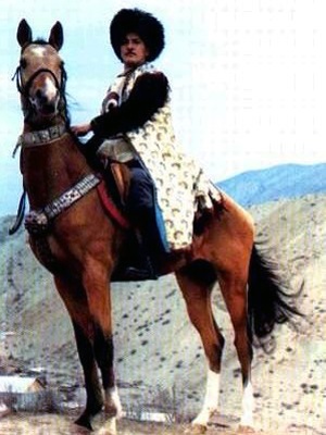 cal Martial (art ecvestru) warhorses
