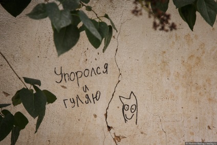 Borovsk sau ne-am scufundat la o astfel de viață (Novgorod Region) Borovsk sau ne-am scufundat la o astfel de viață