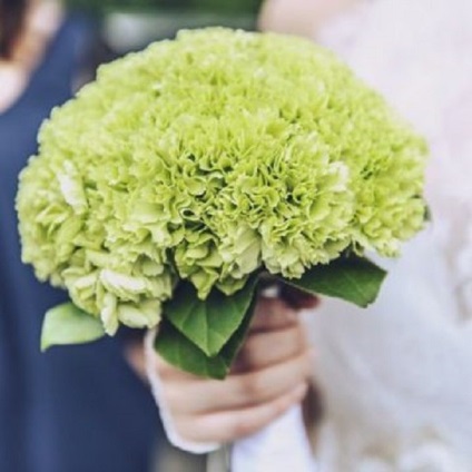 buchete de flori cu verde - nuanțele de selecție de buchet (buchete) buchete de flori cu verde - nuanțele de selecție de buchet