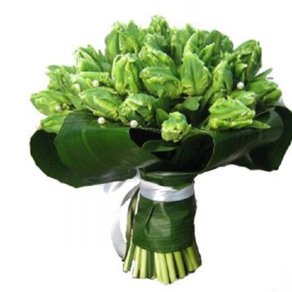 buchete de flori cu verde - nuanțele de selecție de buchet (miresei) buchete de flori cu verde - nuanțele de selecție de buchet