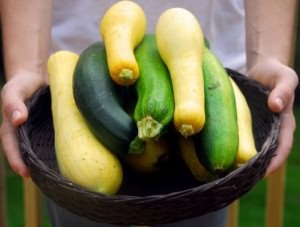 Care este diferența de suc de fructe dovlecei, grădină să crească! (Diferite) Care este diferența de suc de fructe dovlecei, grădină să crească!