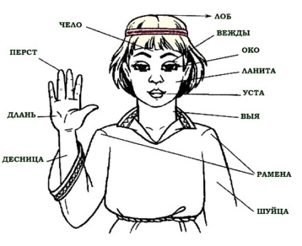 Care este etalonul de epocă măsuri din România (Română) Care este etalonul măsoară de epocă românească