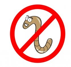 Adultul de ieșire limbrici (poate provoca lateral) Afișajul roundworm pentru adulți