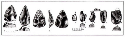 Sistemul cuaternară (perioada) (sistem antropică) Sistemul cuaternară (perioada)