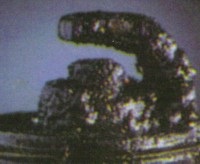 Ce poate - spune - bujia (aprindere) Ce poate - spune - bujia