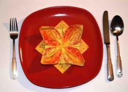 Flori din servetele (flori) Flori din servetele