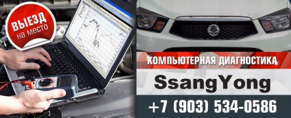 Ssangyong Diagnostic (Eng Sang) labilă, -electrician 24 🚩 la Moscova