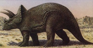 dinozaur Tyrannosaurus