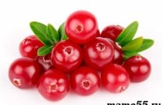 Mamă Blog (blog) blogul mama