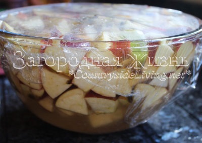 Homemade otet de mere (mere oțet acasă) otet de mere de casă